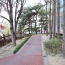 목동114공인중개사사무소 네이버블로그