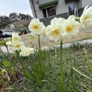 선화2로 이미지