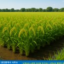 이행복공인중개사사무소 네이버블로그