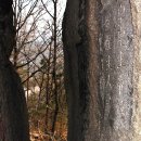 대청호오백리길 4구간(호반낭만길) 봄날 수채화 풍경 이미지