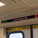 미국가주 우육면 | 엄마랑 대만여행✈️ 단수이, 홍마오청, 토마토 우육면 현지인 맛집 papa chiang