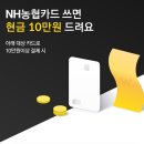 카테크 이미지