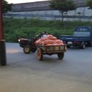 동남해특산물