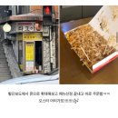 도연이 블로그를 훔쳐 . .