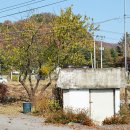 신북설렁탕