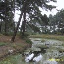 금지초등학교 이미지