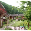 흥정계곡 가을동화펜션 이미지