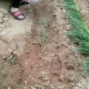 메종펜션 이미지