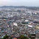 나무드론 - 중구 종가로 313 | 나무드론