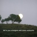 만월(Full Moon) 이미지