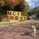 애견아트 | 포천 애견동반 여행지 - <포천 아트밸리> 내돈내산 후기