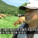 한우의힘 이미지