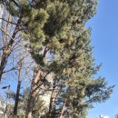 연세화랑의원 이미지