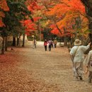 빛으로 그린 세상 이미지