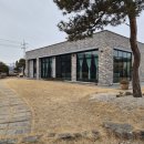 명품고양이카페 | 여주 가볼만한곳 티하우스 서하, 명품 찻잔의 '반전 가격'이 궁금하다면?