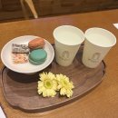 멍멍스타 | chapter3 : 웨딩홀 상담 및 ‘스타시티아트홀’ 계약 후기 // 결혼‘식’을 꼭 해야하나? // 견적공유