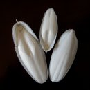 한신사 | 충청수영성 / 忠淸水營城 (보령/保寧)
