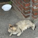 연천한의원 | 마이 리틀 소다팝