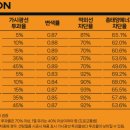 레이노썬팅