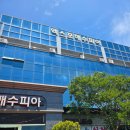 여수낚시 | 여수 오션스타 3호 한치낚시 솔직 후기, 조황보다 더 기억에 남은 맛집
