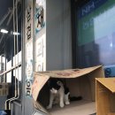 이마트24 무의중심점