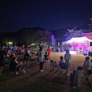 무릉도원면-26 이미지