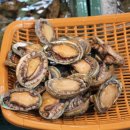 서귀포자연휴양림야영장 이미지