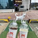 도캐도캐 이미지