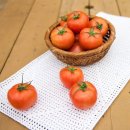 신선한아침 - 포항시 남구 | 완숙 찰토마토 2.5kg 산지직송으로 챙기는 신선한 아침 식사 후기