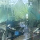 풍천장어 이미지