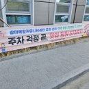 피자비토랩 서구점 | 대전 갈마동 맛집 데이트하기 좋은 더맨타코