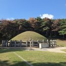 해송 병풍 찢기고 속살 드러낸 산비탈... 동해 솔숲 삼킨 '1mm 저승사자' 이미지