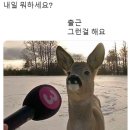 조아니