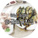 싱싱와글와글 이미지
