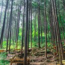 위봉산성마을 이미지