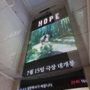 무대 | 영화 호프 시사회 | 황정민, 조인성, 정호연, 나홍진 감독 무대인사 후기 | 쿠키 유무