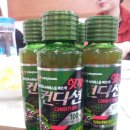 나무타는고양이 구경하는강아지 이미지