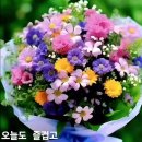 병원 동행 매니저1 티스토리