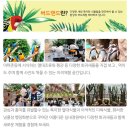 대전 가볼만한곳 오월드 버드랜드 방문후기,이용요금,코스