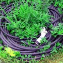 자연의 순환 이미지