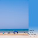 파라다이스 이미지
