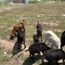 감당농장 이미지