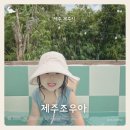 제주 조우아 이미지