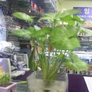잉크충전방 - 목포시 영산로 289-1 | 잉크충전방