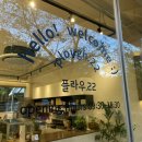 플라우.22 이미지
