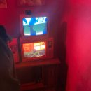 이쁘당개 애견샵 | 서울 근교 애견동반 일본감성 후유마츠리 겨울축제:니지모리스튜디오 내돈내산 솔직후기