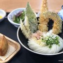 제주노조미 이미지