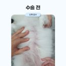 우장산동물의료센터 이미지