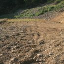 인암농원 이미지