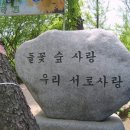꽃향기속으로 이미지